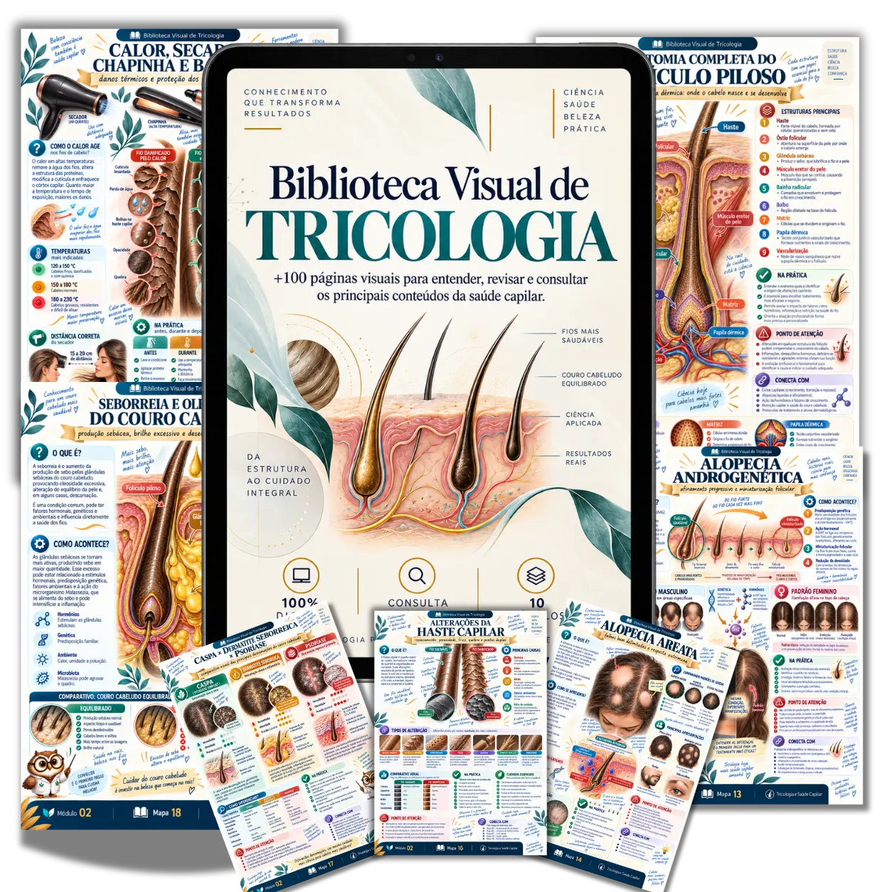 Mockup da Biblioteca Visual de Tricologia