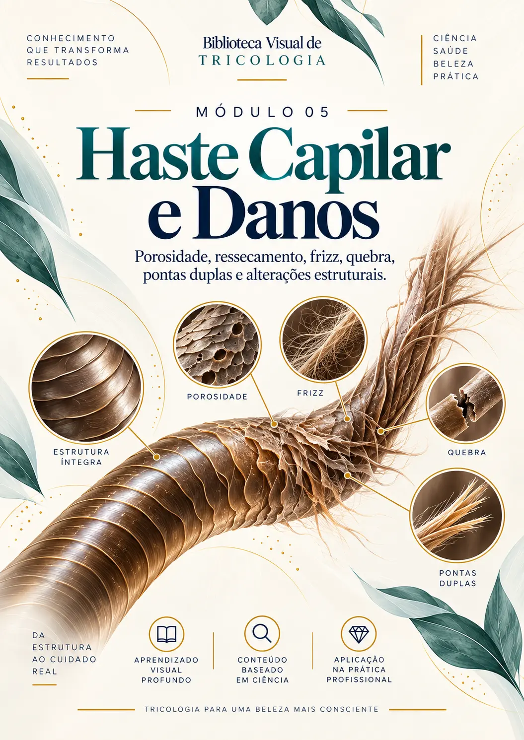 Haste Capilar e Danos