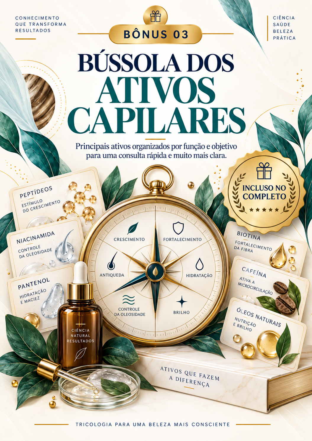 Bússola dos Ativos Capilares